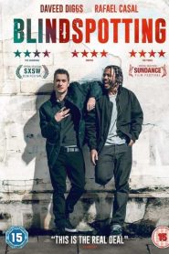 Blindspotting Türkçe Dublaj izle