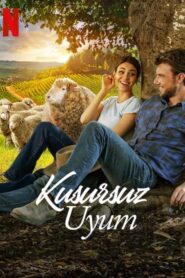 Kusursuz Uyum izle / A Perfect Pairing