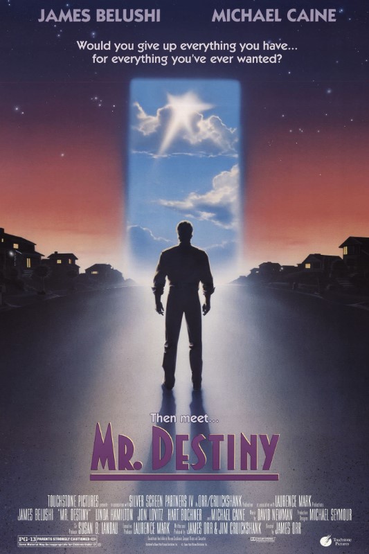 Bay Kader / Mr. Destiny izle