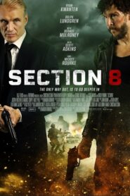 Section 8 izle