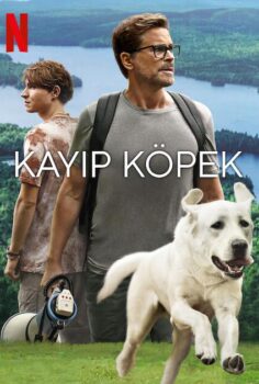 ﻿Kayıp Köpek izle