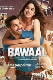 Bawaal alt yazılı izle